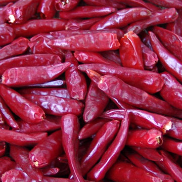 Zidantou Chili (Zidantou Chili)