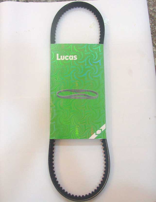  Belt ( Belt)