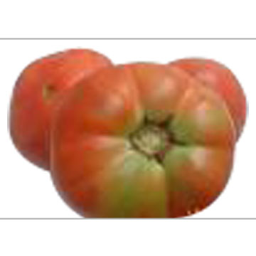 Tomate EW (Tomate EW)