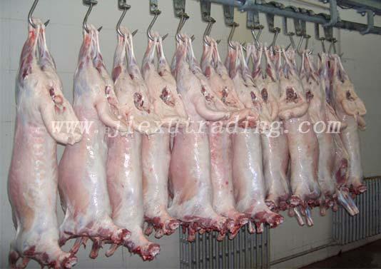  Lamb Carcass (Lamb Carcass)