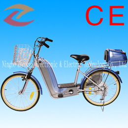  Electric Bicycle (Elektro-Fahrrad)