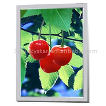  Promotional Lenticular Window Display ( Promotional Lenticular Window Display)