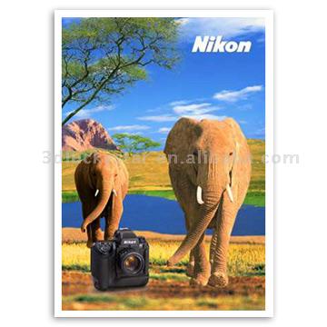  3D Lenticular POP Signboard