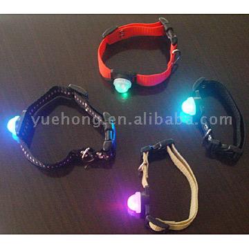  Dog Collar and Leash (Collier et une laisse de chien)