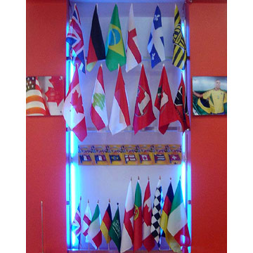  Flags