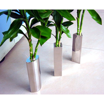  Stainless Steel Pipes ( Stainless Steel Pipes)