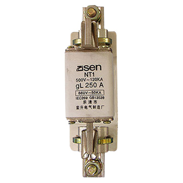  Low Voltage Fuse