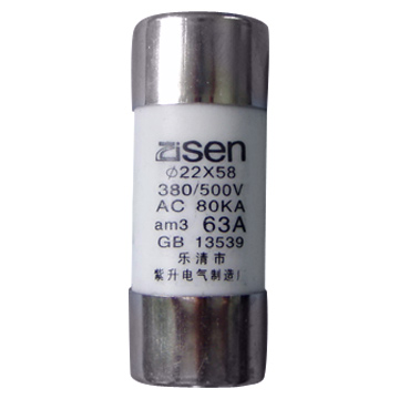  Low Voltage Fuse