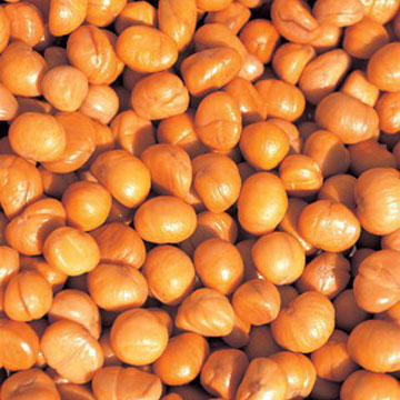  Chestnut Kernel ( Chestnut Kernel)