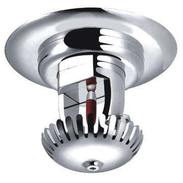 CCD Camera (CCD Camera)