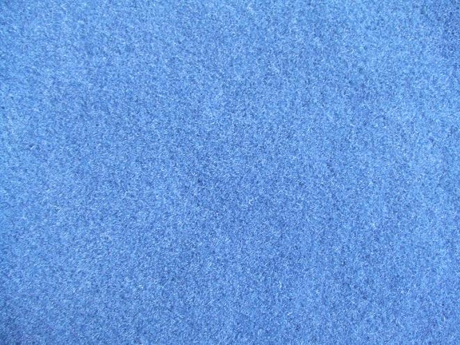  Auto Carpet (Auto Teppich)