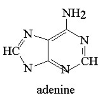  Adenine (Аденин)