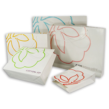  Paper Shopping Bag ( Paper Shopping Bag)
