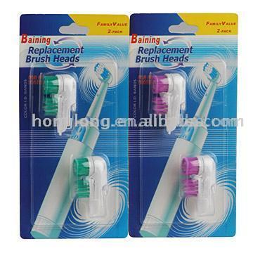  Replaceable Toothbrush Head