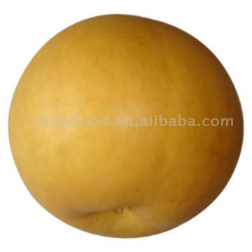  Yuanhuang Pear (Yuanhuang груша)