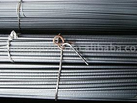  Hot Rolled Deformed Steel Bars ( Hot Rolled Deformed Steel Bars)