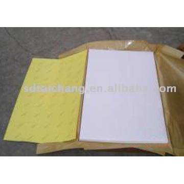  Self Adhesive High Gloss Coated Paper (Autocollantes High Gloss Papier couché)