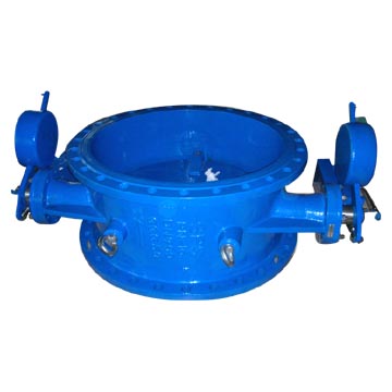  Butterfly Valve (Vanne papillon)