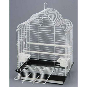  Cage (Cage)