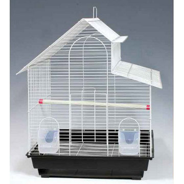  Cage (Cage)