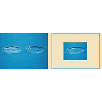  7g Oval Oil Pad ( 7g Oval Oil Pad)