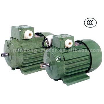 Fractional Horse Power Induction Motor (Fractional Horse Power Induction Motor)