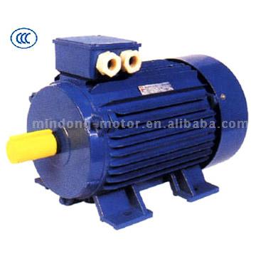  Model Y2 Three-Phase Motor