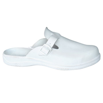  Safety Shoe ( Safety Shoe)