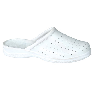  Safety Shoe ( Safety Shoe)