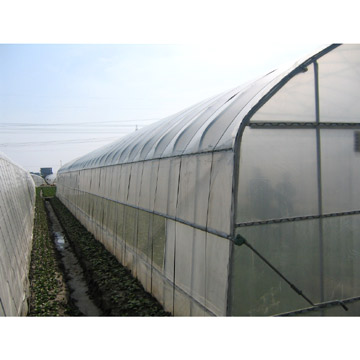  Single Span Greenhouse (Однопролетные Парниковый)