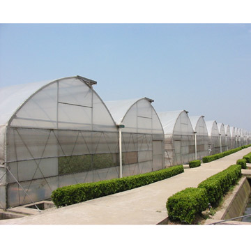  Multi-Span Film Greenhouse (Multi-Span film de serre)