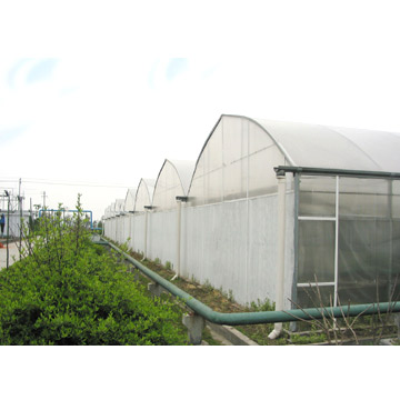  Double-Layer Inflated Film Greenhouse (Double-Layer Gonflé film de serre)