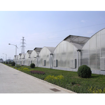  Polycarbonate Sheet Greenhouse - Double Ridqes (Поликарбонатных листов Gr nhouse - двухместный Ridqes)
