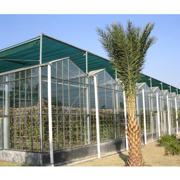  Glass Greenhouse (Стекло Парниковый)
