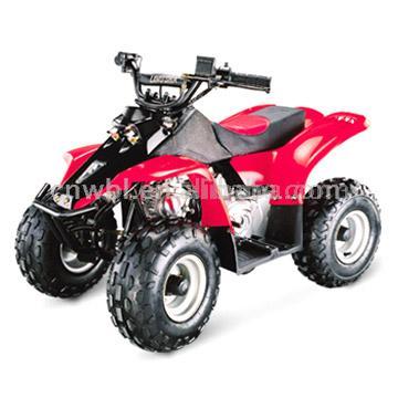  50cc Air-Cooled Mini ATV (50cc воздушным охлаждением мини ATV)