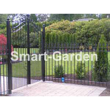  Iron Fence And Gate
