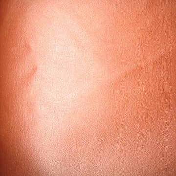  PU Leather for Garments (PU en cuir pour vêtements)