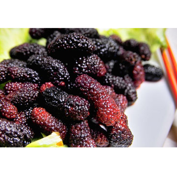 Frozen Mulberry (Frozen Mulberry)