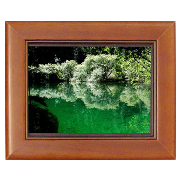  Digital Picture Frame ( Digital Picture Frame)