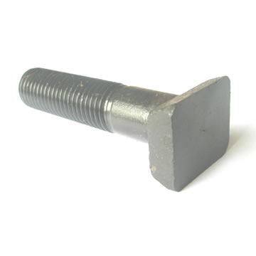  T-Shaped Bolt (Forme T-Bolt)