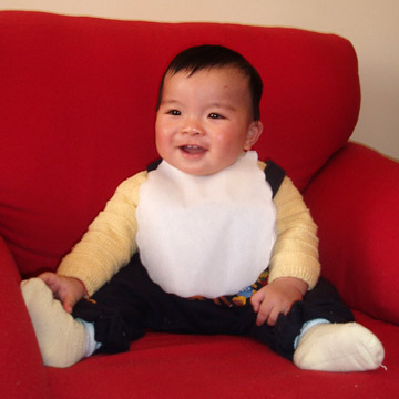Baby Bib (Baby Bib)
