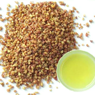  Bitter Buckwheat (Bitter Sarrasin)