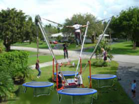  Bungee Trampoline ( Bungee Trampoline)