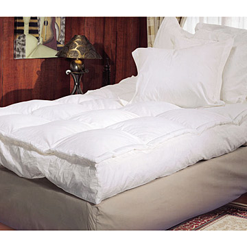  Feather Bed (Feather Bed)