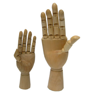 Model Of Hand