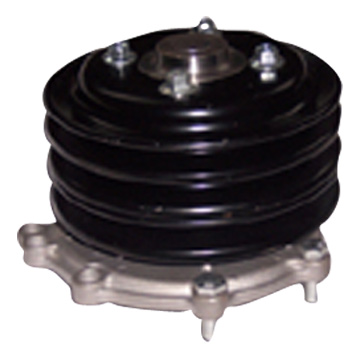  Auto Water Pump ( Auto Water Pump)