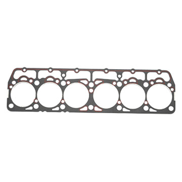  Gasket ( Gasket)