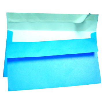  Envelop ( Envelop)