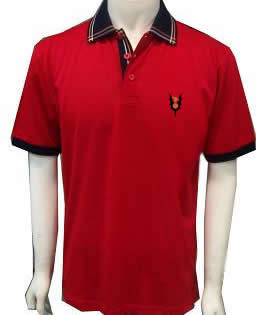  Polo Shirt ( Polo Shirt)