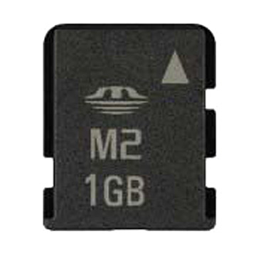  MS Micro M2 Card (1GB)